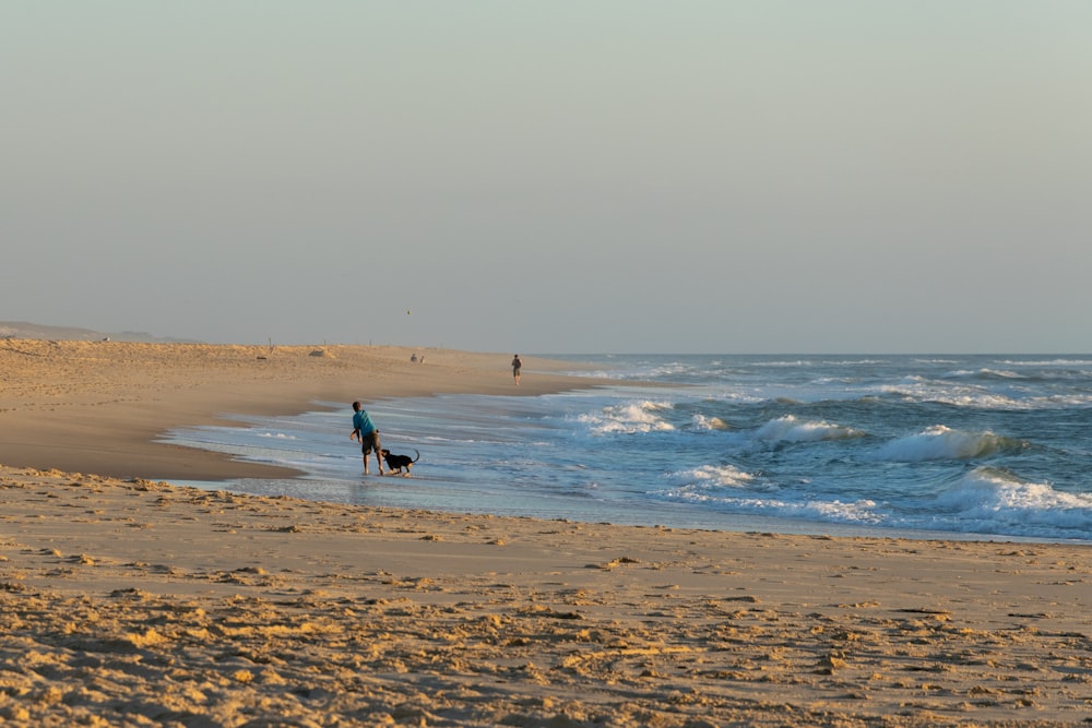 a person and a dog on a beach