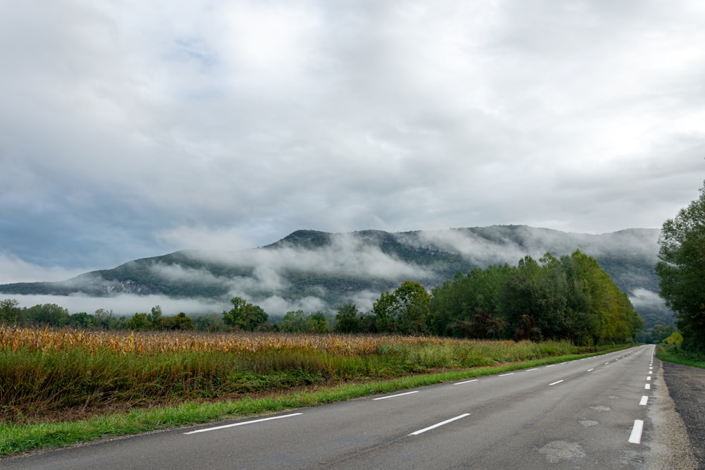 une route avec de l’herbe et des arbres sur le côté et des montagnes en arrière-plan