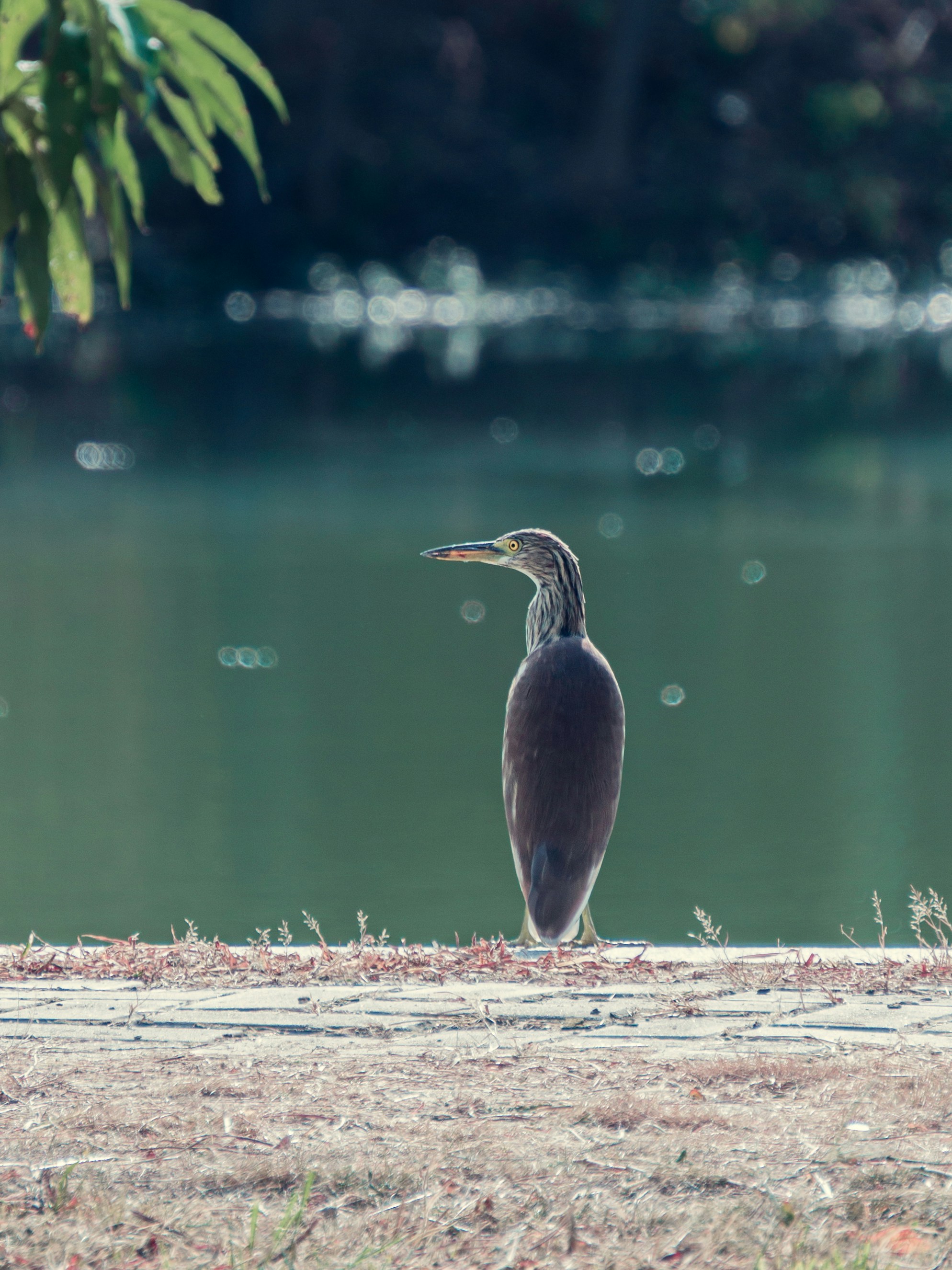 Photo by infinity947