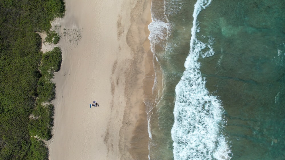 a beach with people on it