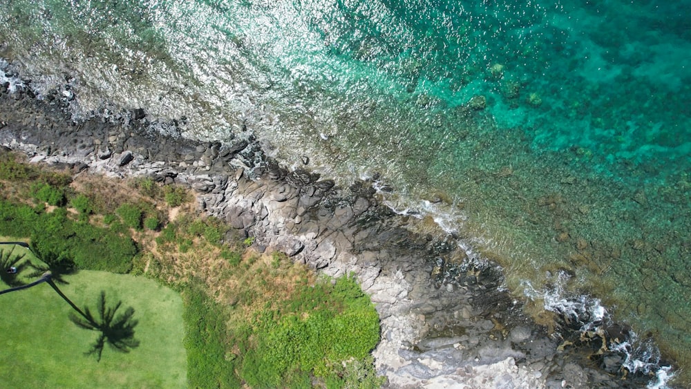 a body of water with plants and rocks around it