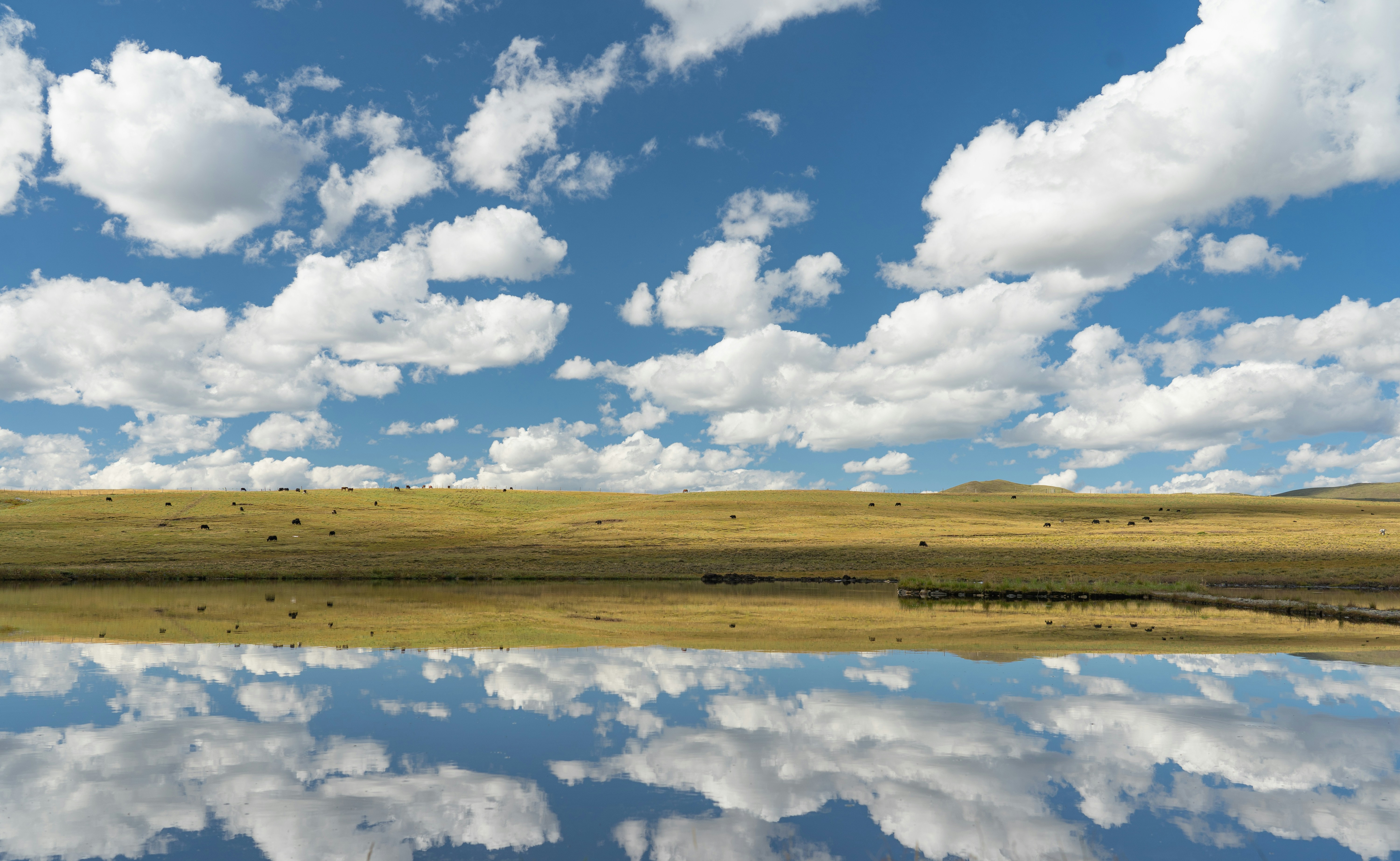 Photo by import_this