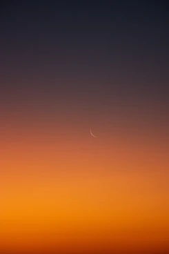 a plane flying in the sky