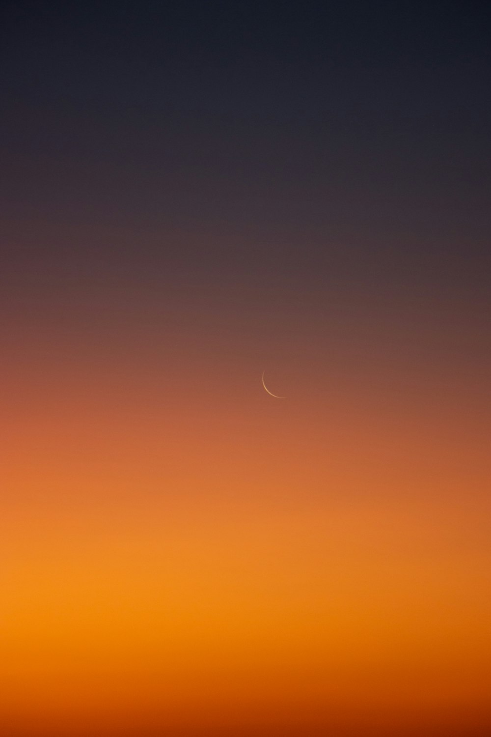 a plane flying in the sky