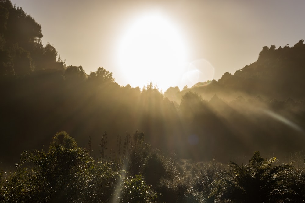 sun shining through the clouds