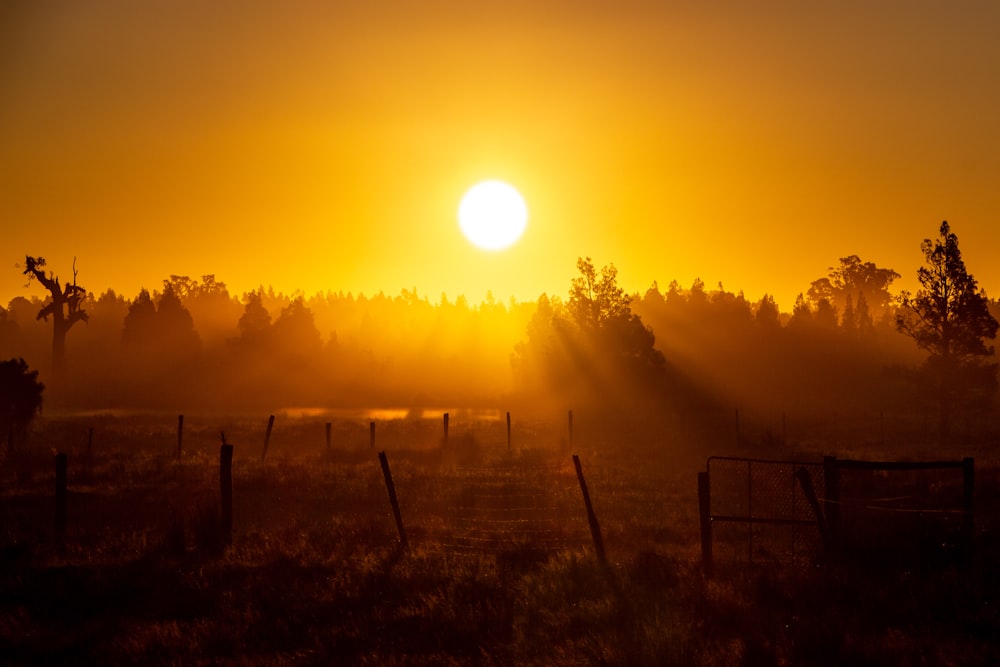 a fenced in field with the sun setting in the background