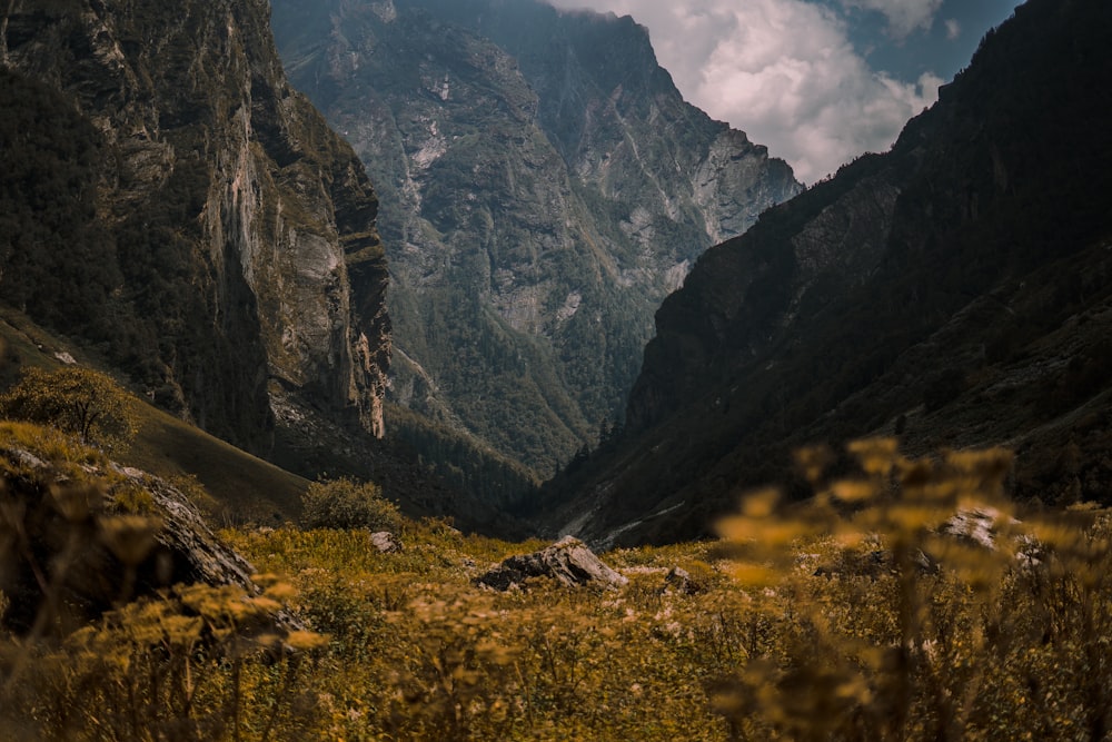 a valley between mountains