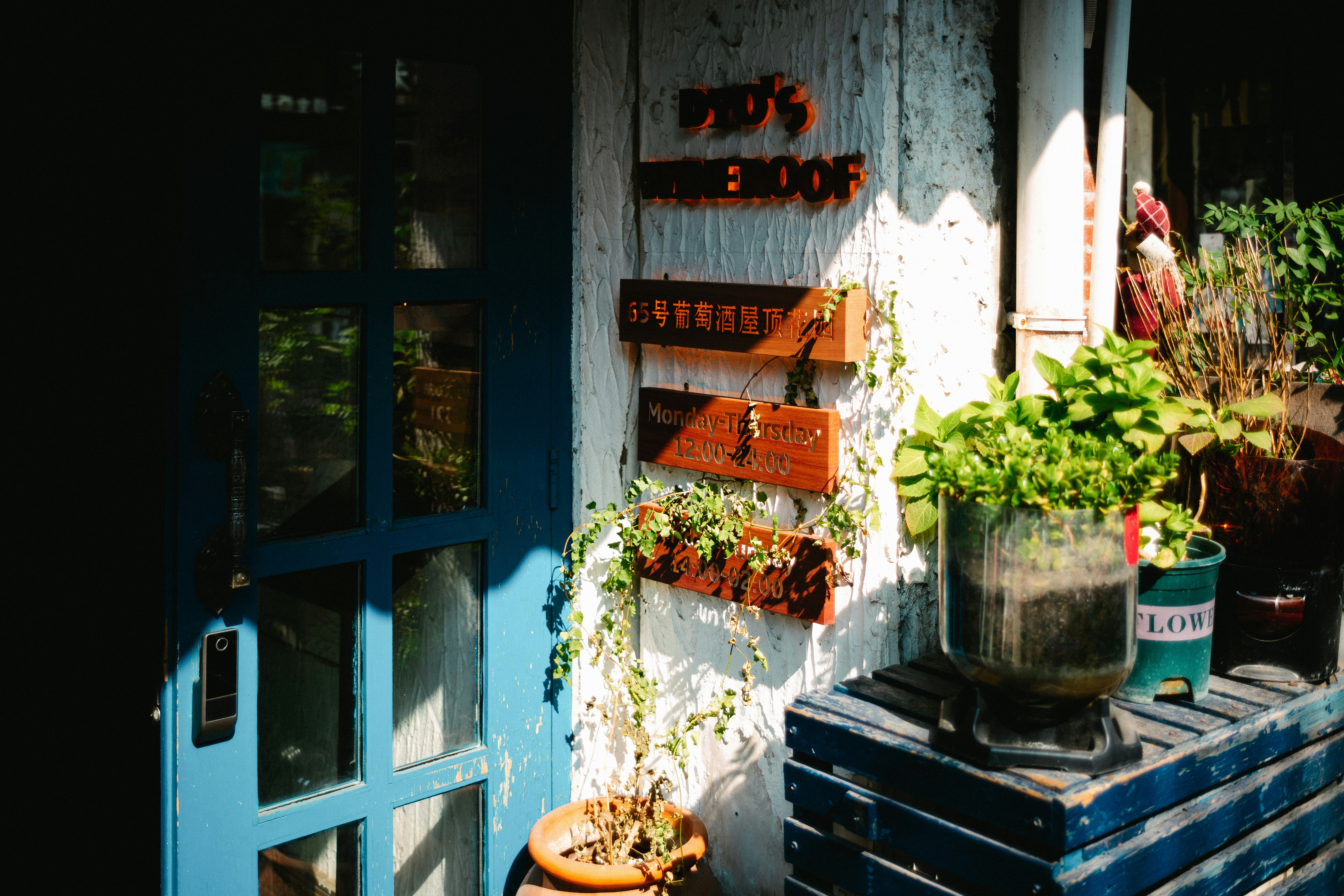 Photo by tommaomaoer