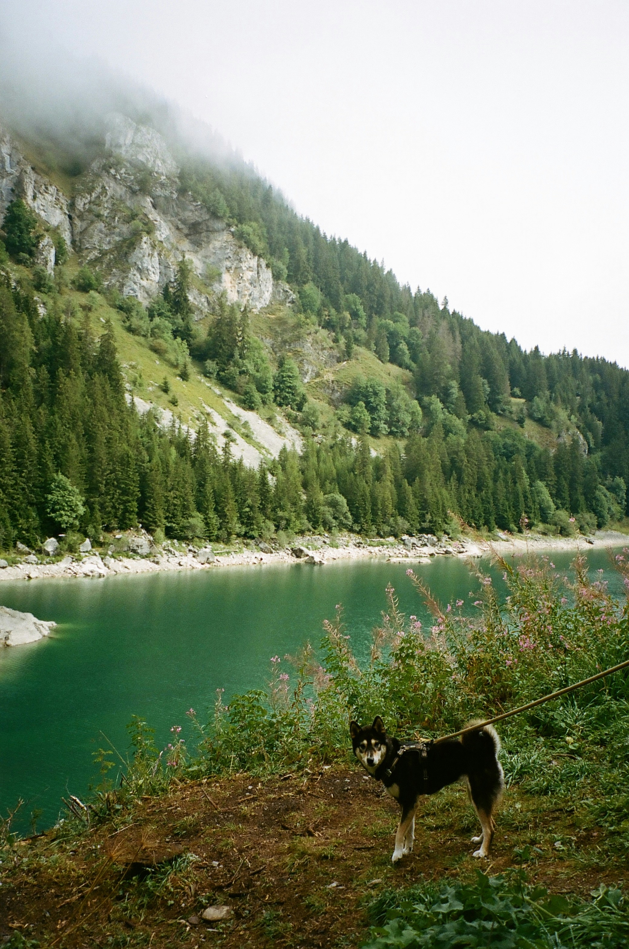 Photo by louisesophie