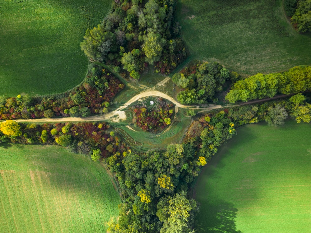 a road with trees and grass