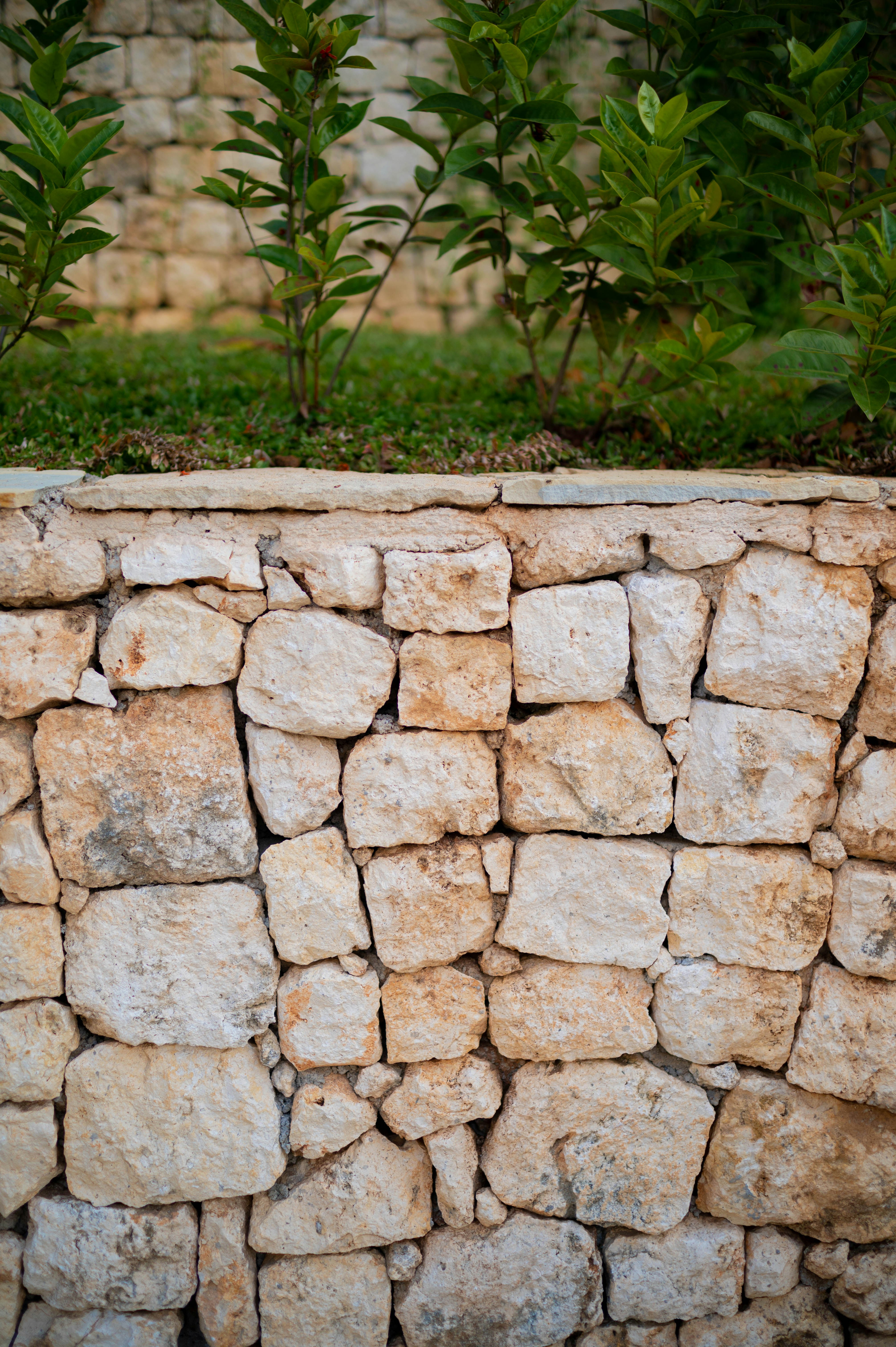 Photo by sahrulwahy_