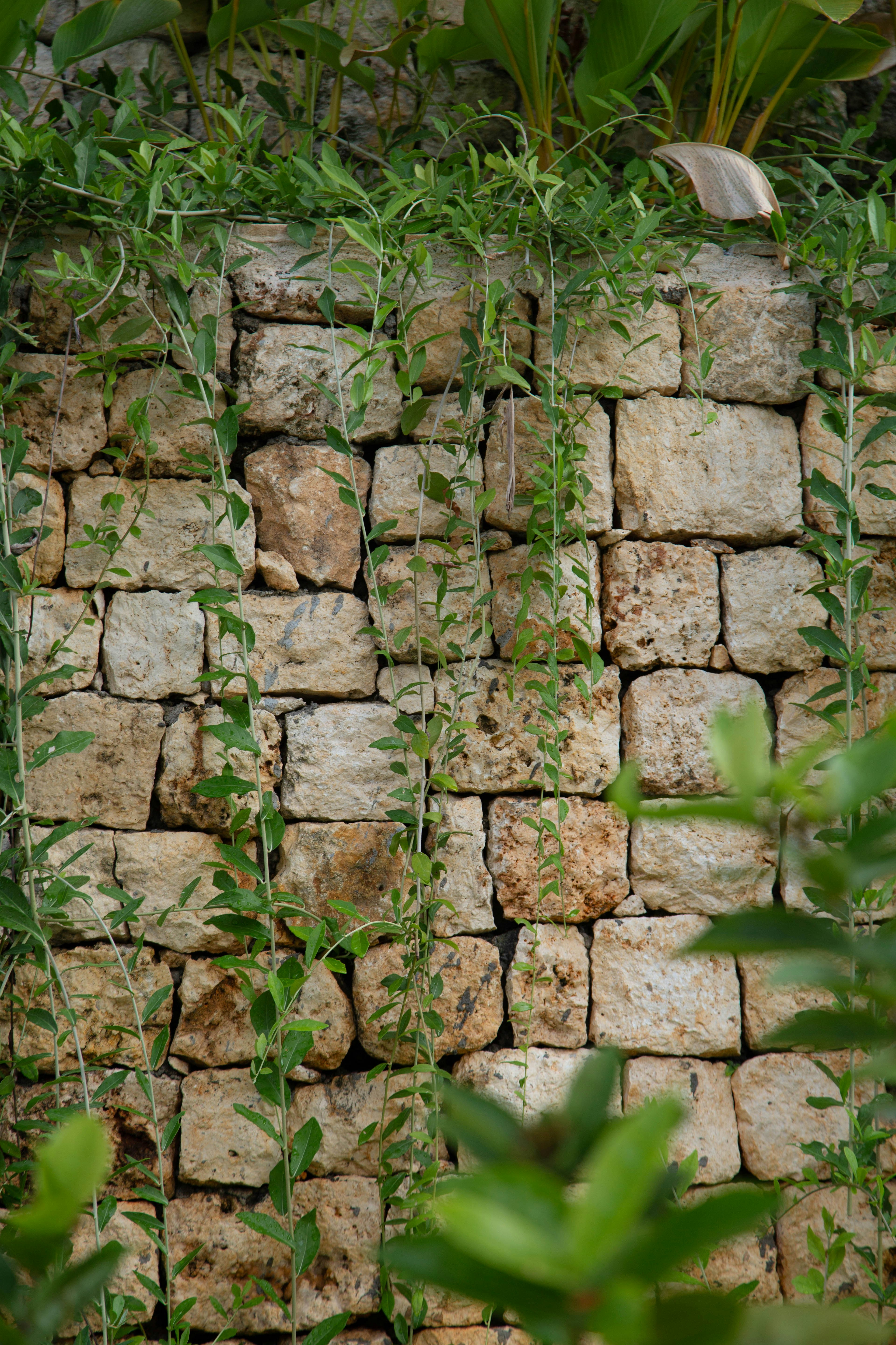 Photo by sahrulwahy_