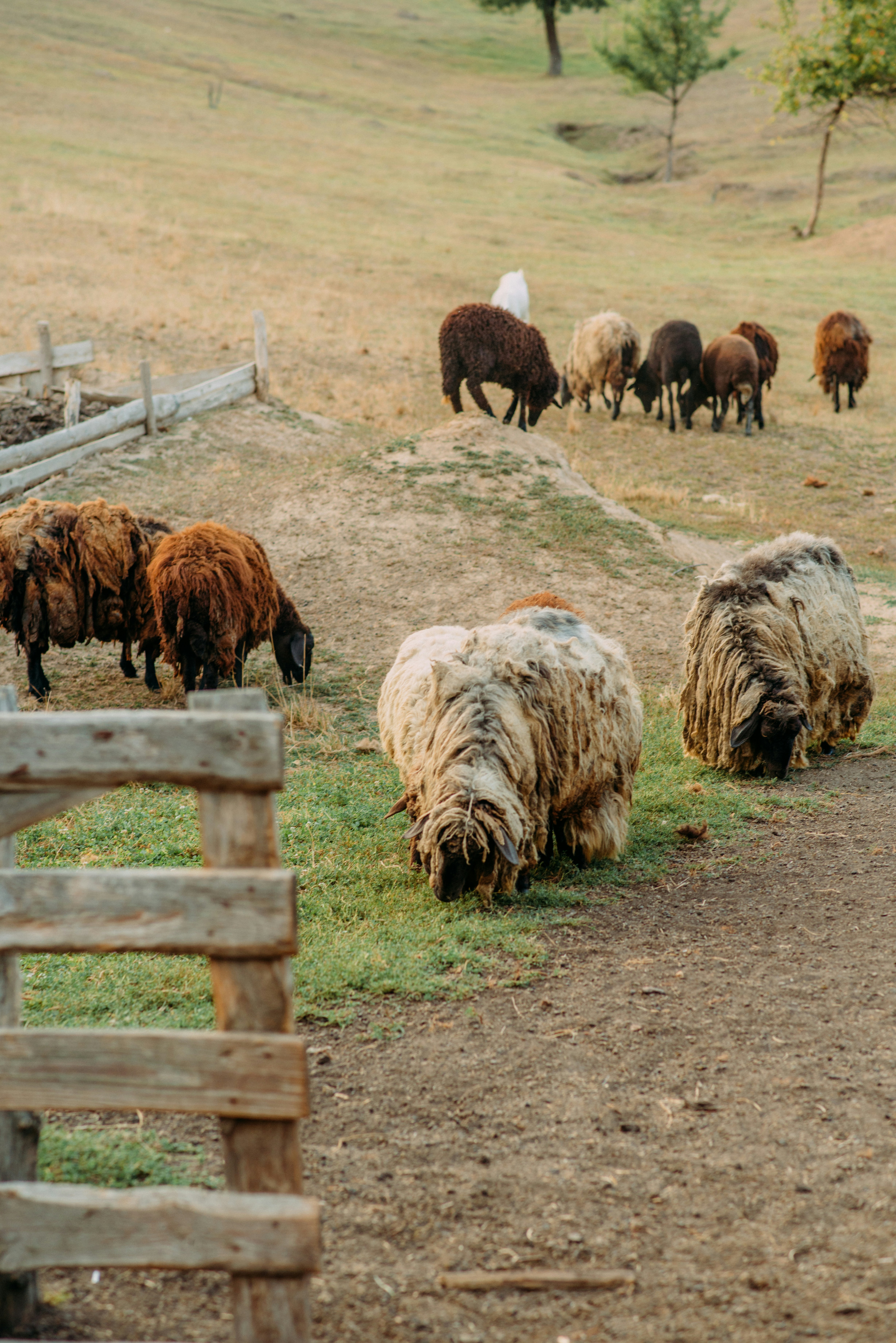 Photo by eugenivy_now