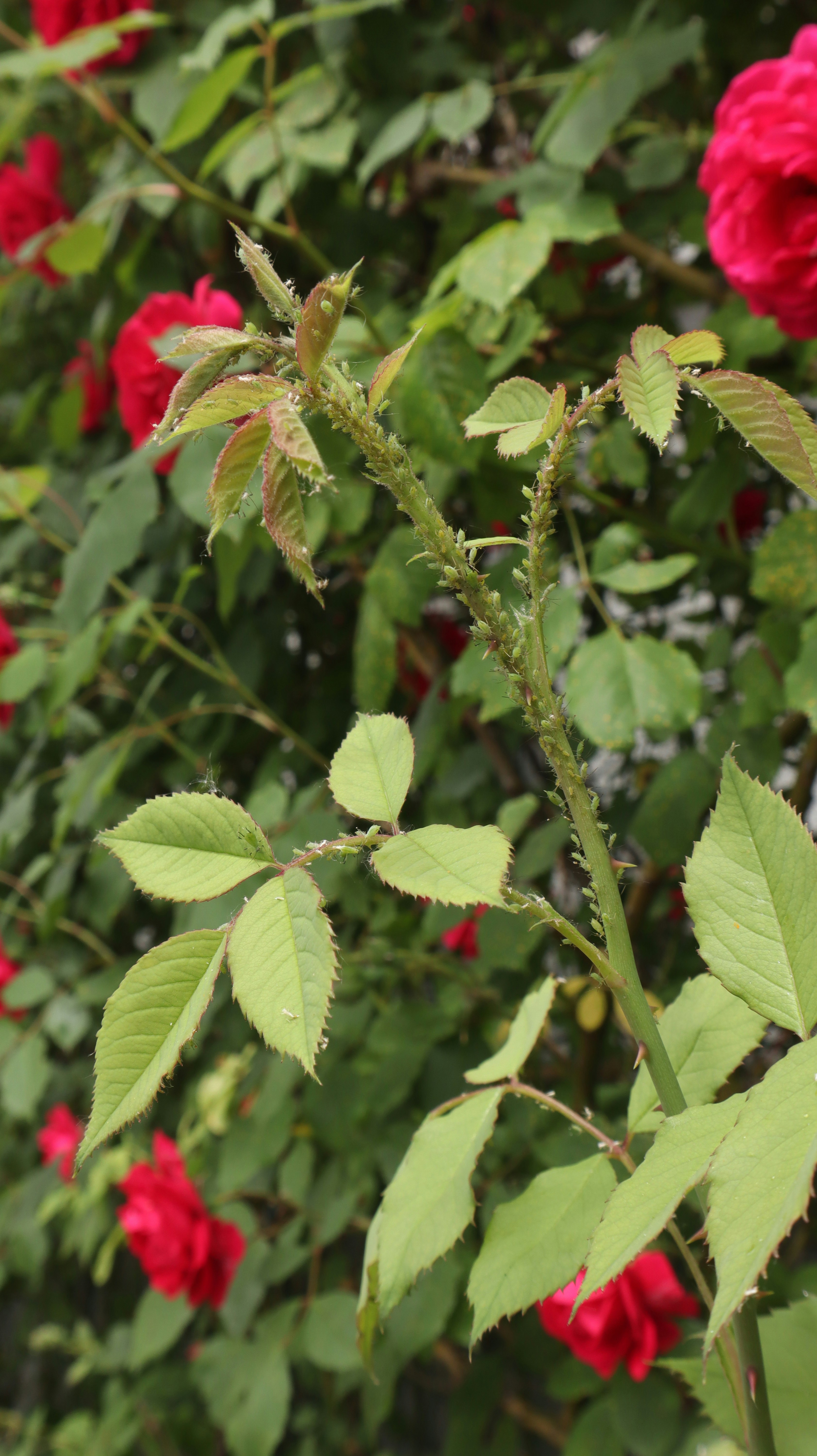 Photo by artamonovy_studio