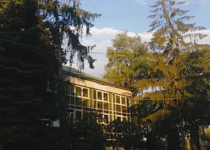 Bucerius Law School