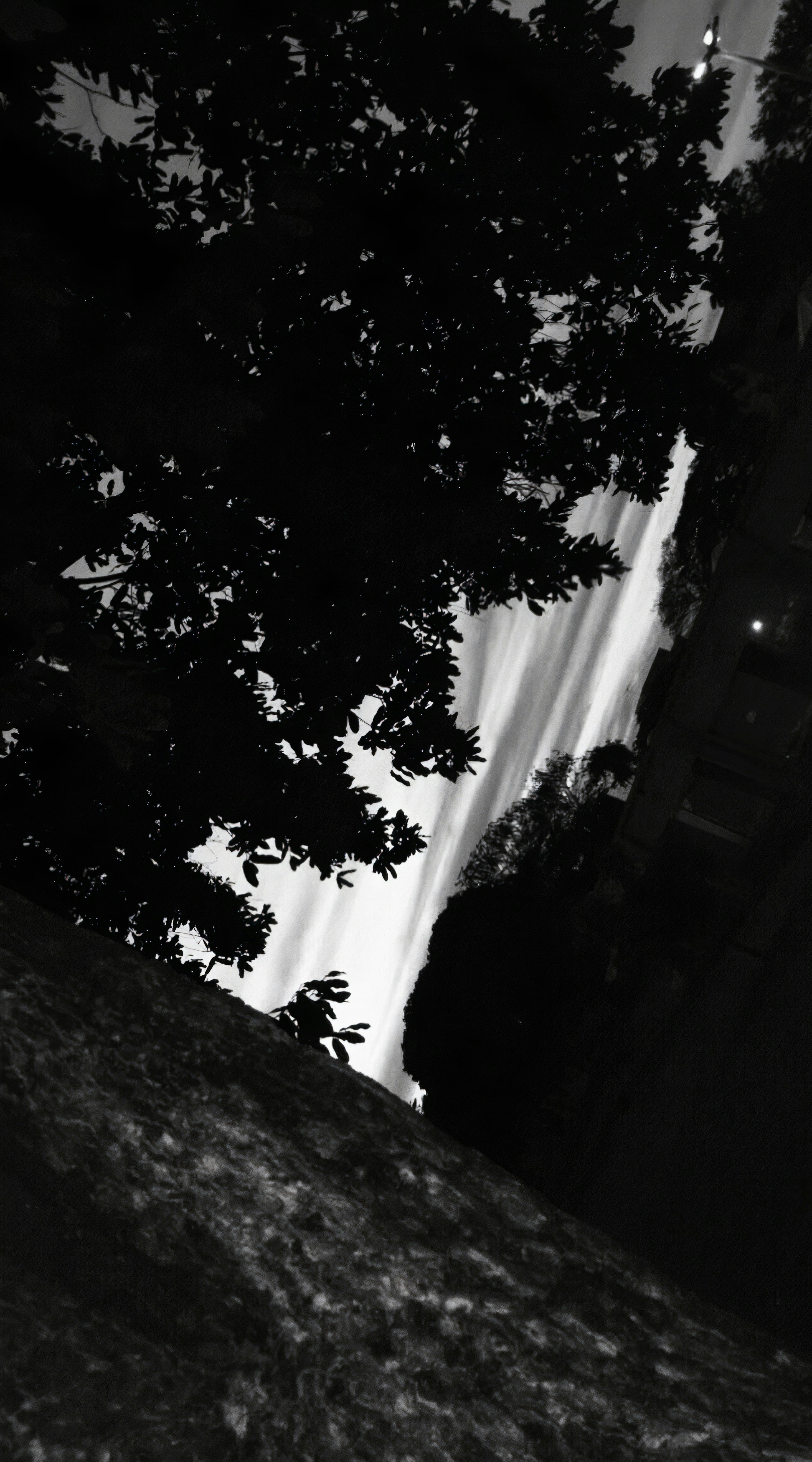 Photo by luiznettoiid