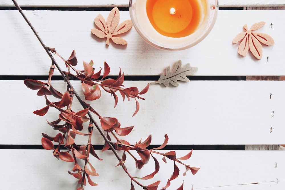 a branch with red leaves and a candle on it