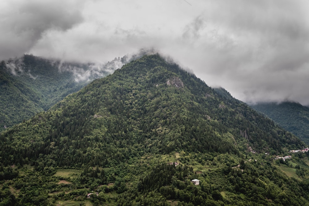 a mountain with trees on it