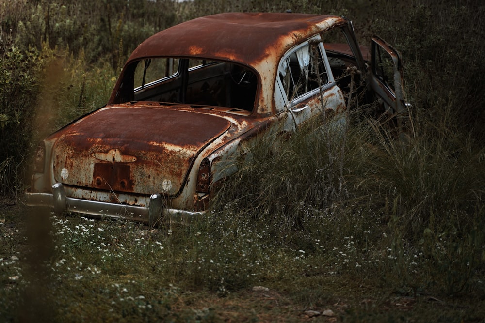 a car in a field