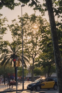 A sunlit street scene with tall trees, including palm and deciduous types, casting shadows over the road. A yellow and black taxi is in the foreground next to a traffic light showing red. People are walking in the background, framed by greenery and dappled sunlight filtering through the leaves.