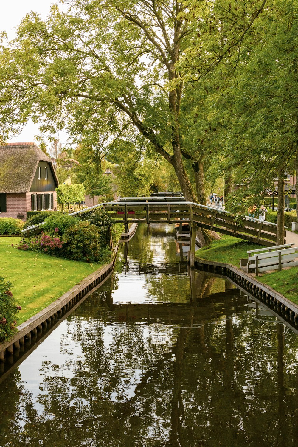 a body of water with a bridge and trees around it