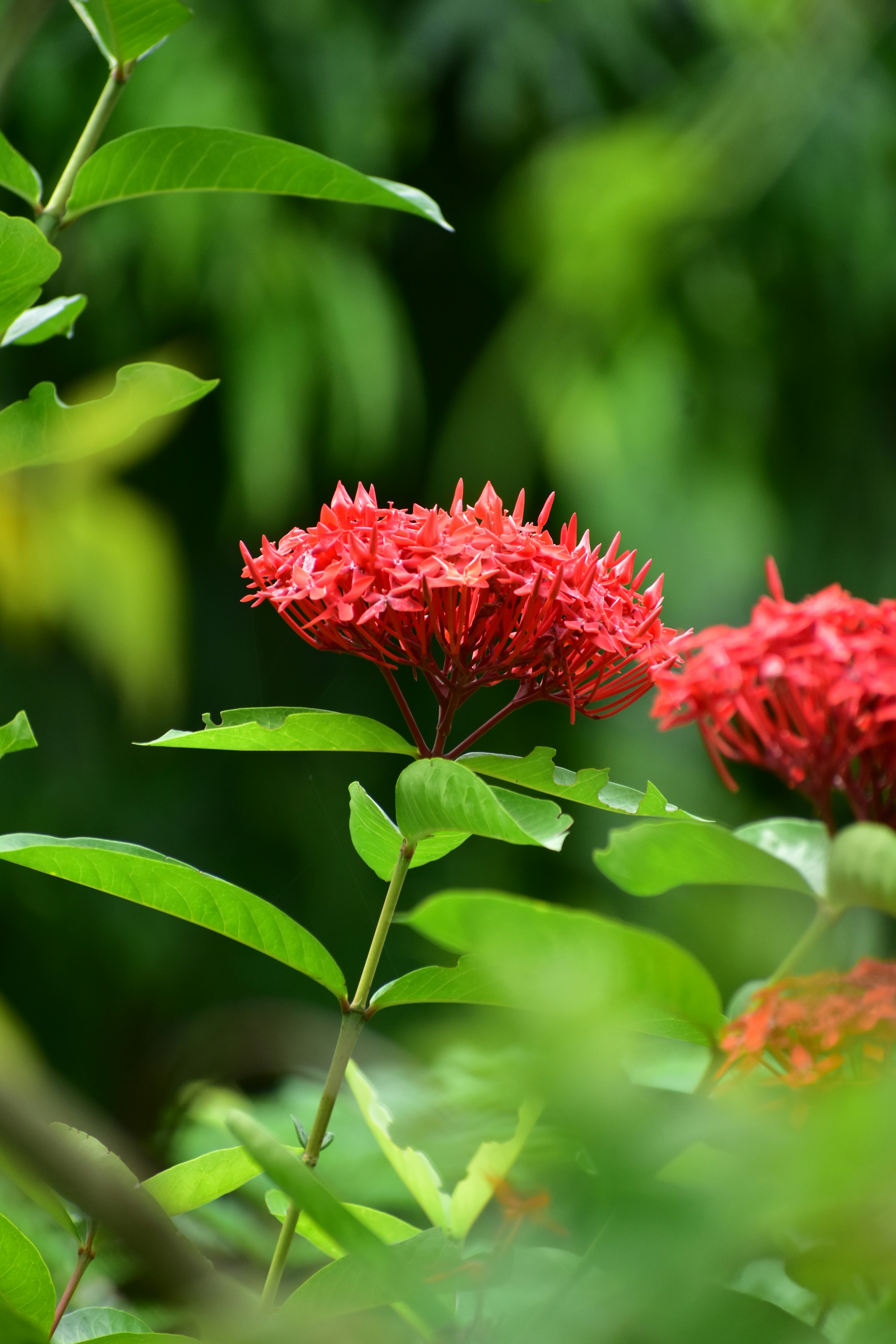 Photo by abhishek008