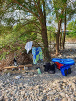 Outdoor scene with True Tides products placed on a picnic blanket near the ocean shore.