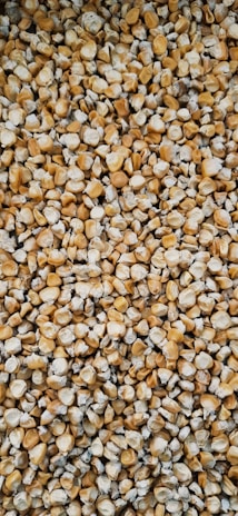 A vibrant display of premium maize cattle feed pellets.