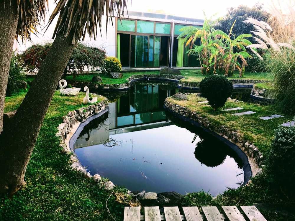 a house with a pool and trees around it