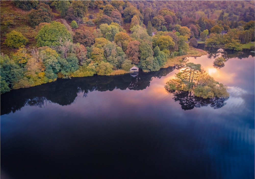 a lake surrounded by trees