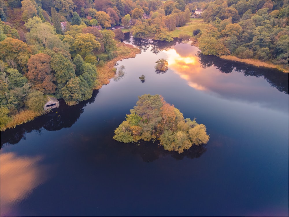 un plan d’eau entouré d’arbres