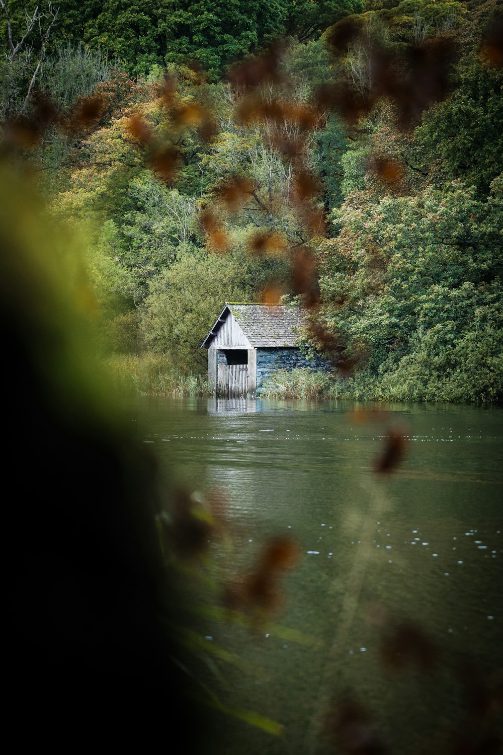a house on a river surrounded by trees