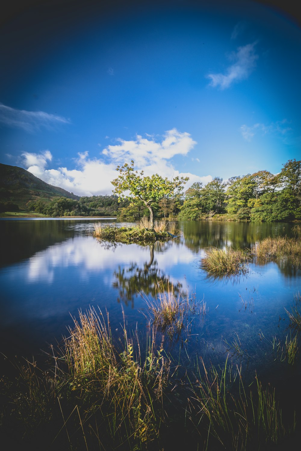 a lake with trees and mountains in the background