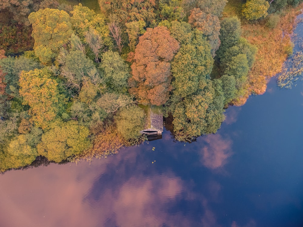 a body of water with trees around it