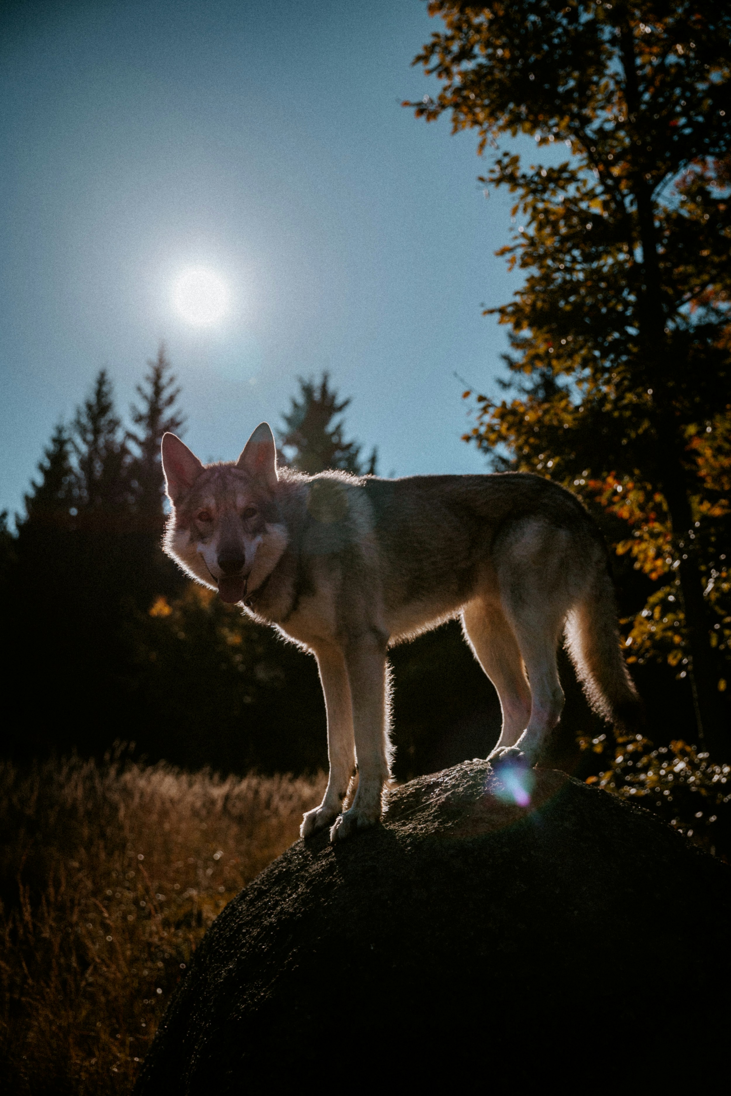 Photo by honzareznik