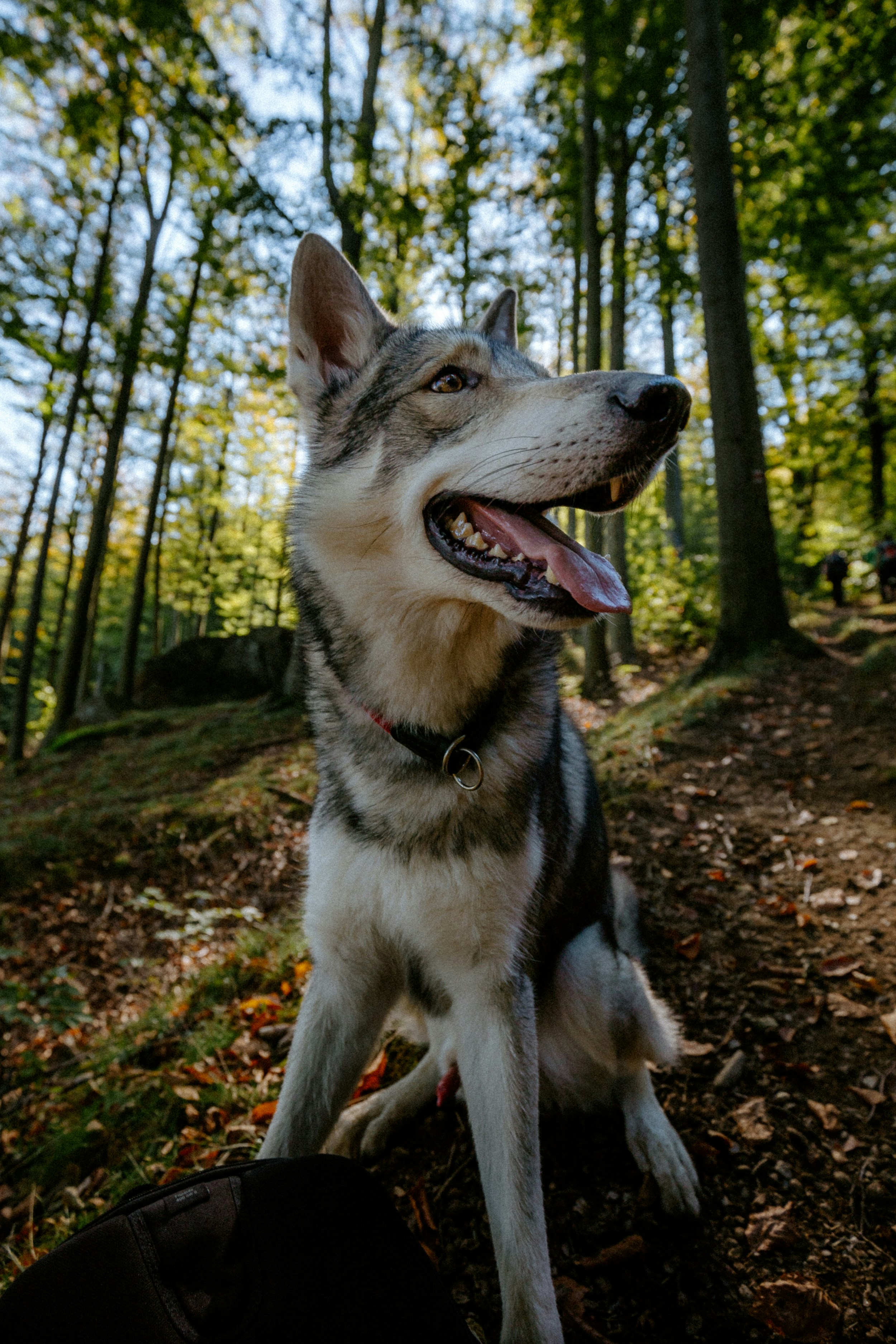 Photo by honzareznik