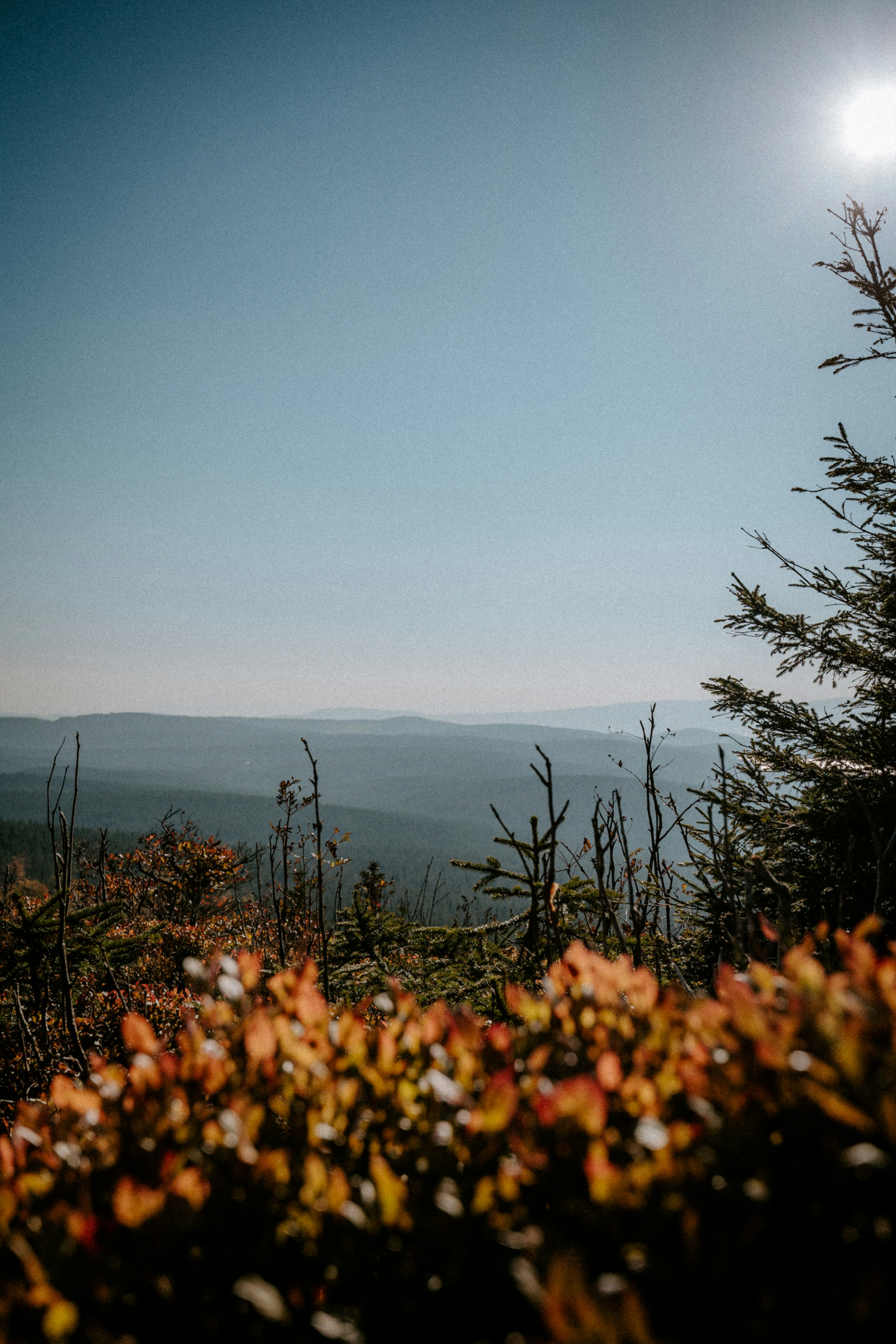 Photo by honzareznik