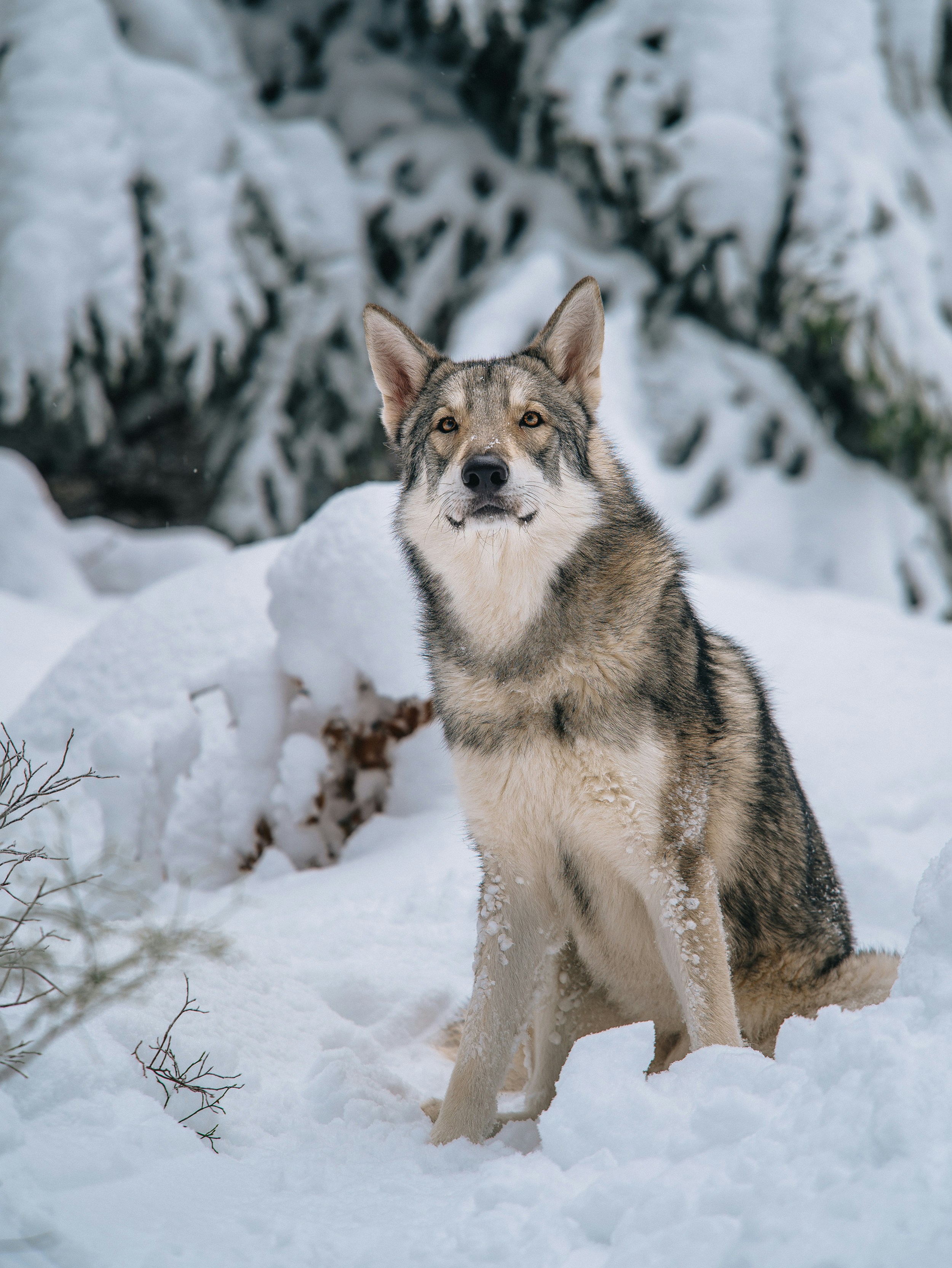 Photo by honzareznik