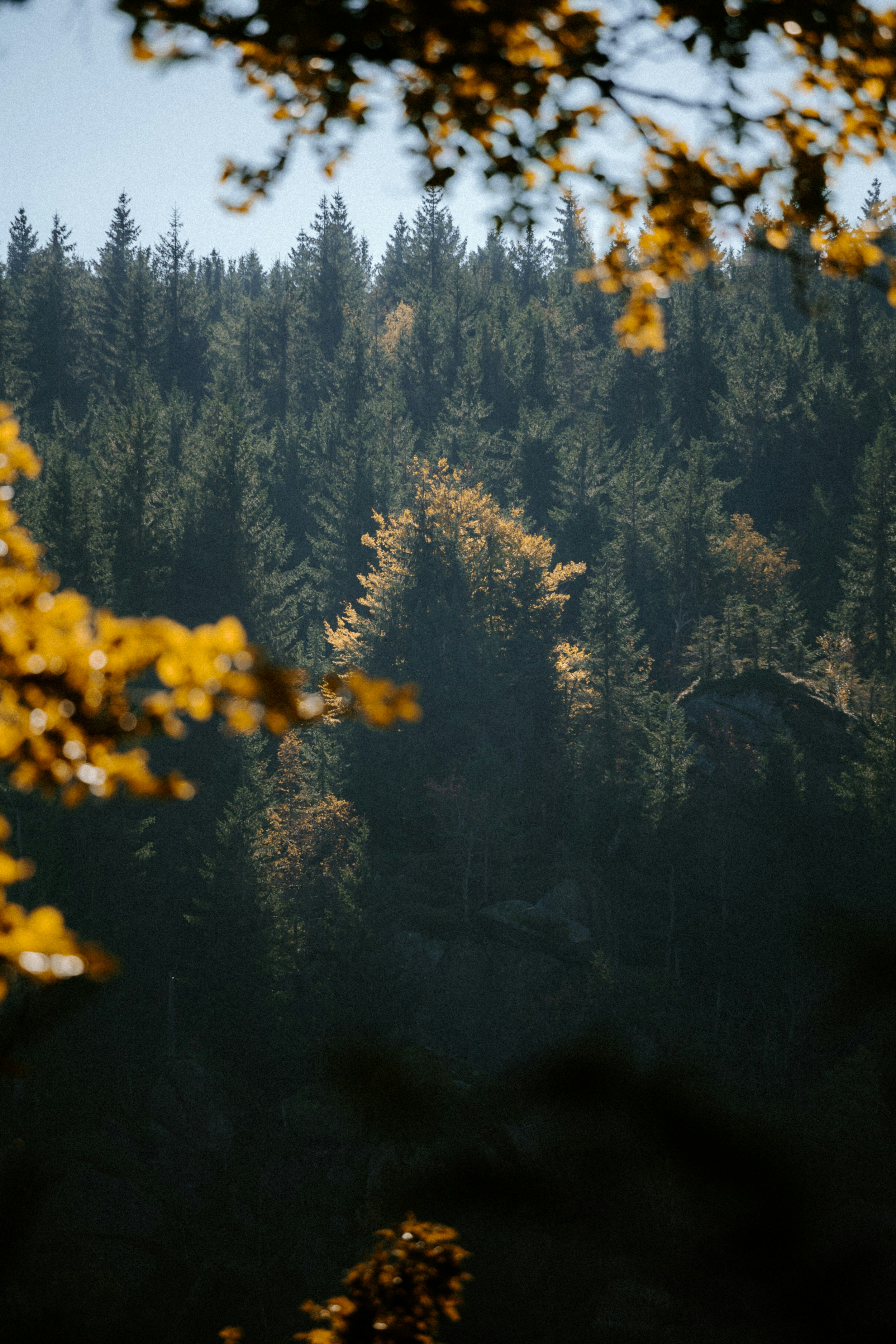 Photo by honzareznik