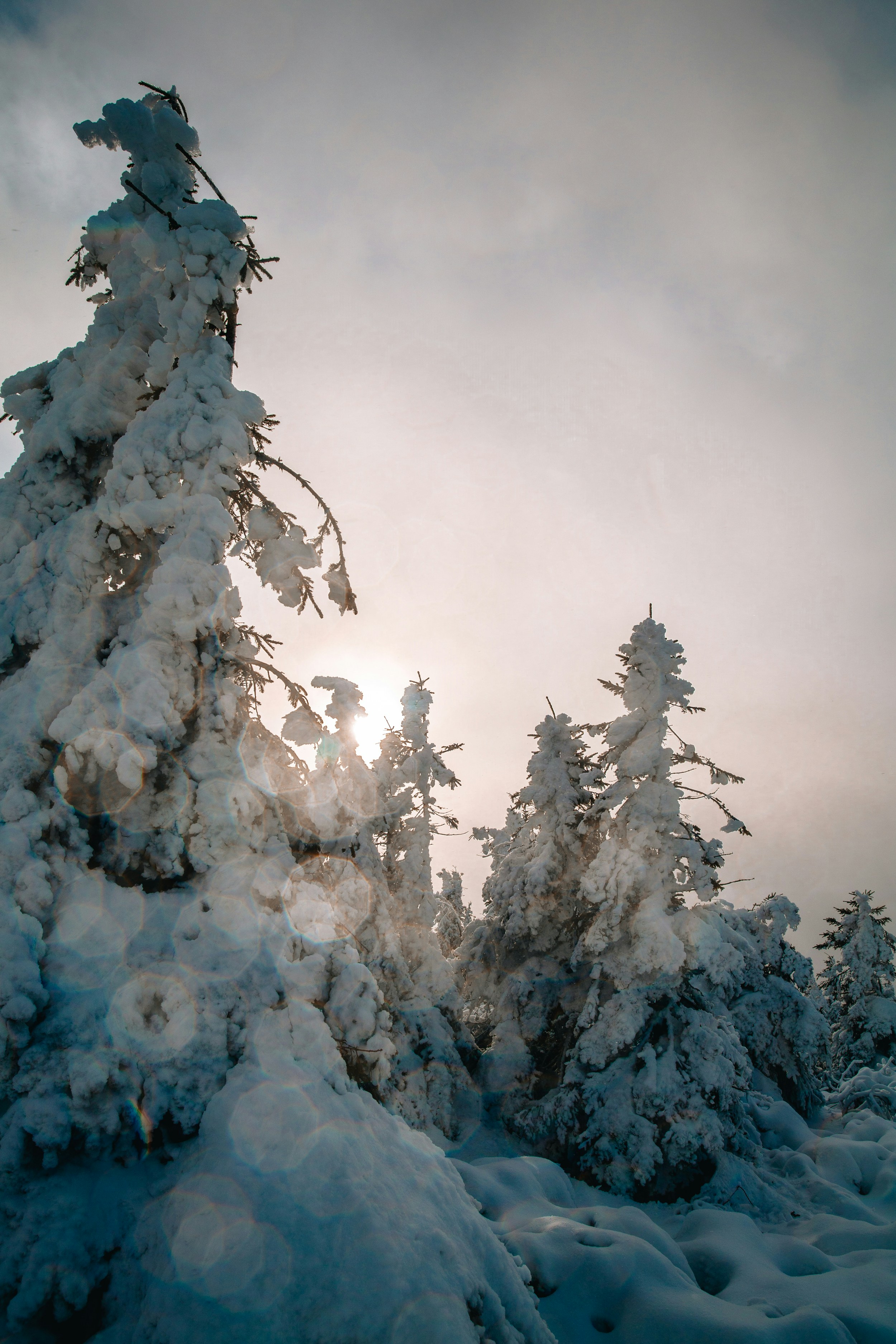 Photo by honzareznik