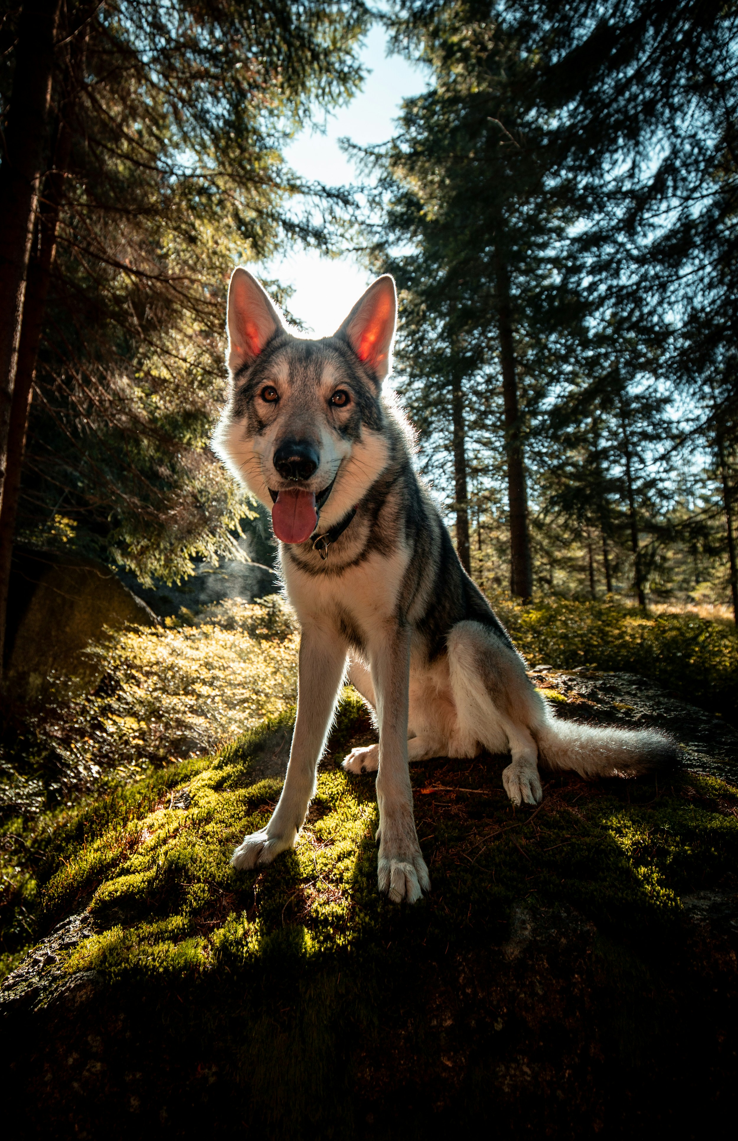 Photo by honzareznik