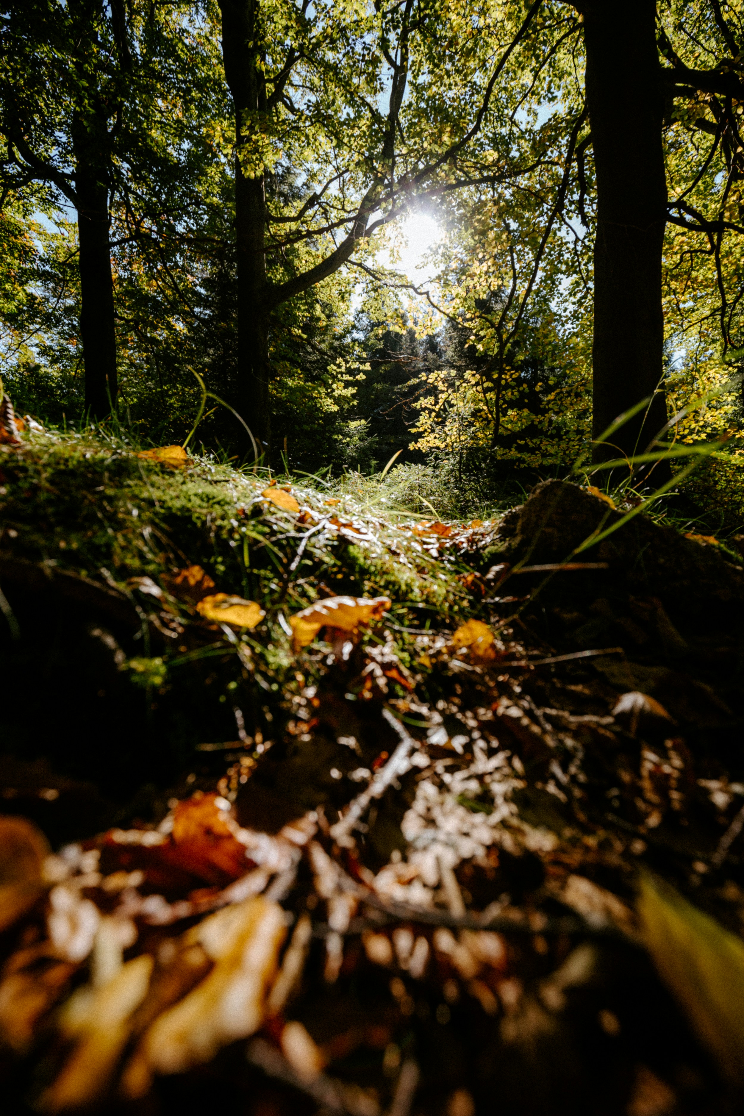 Photo by honzareznik