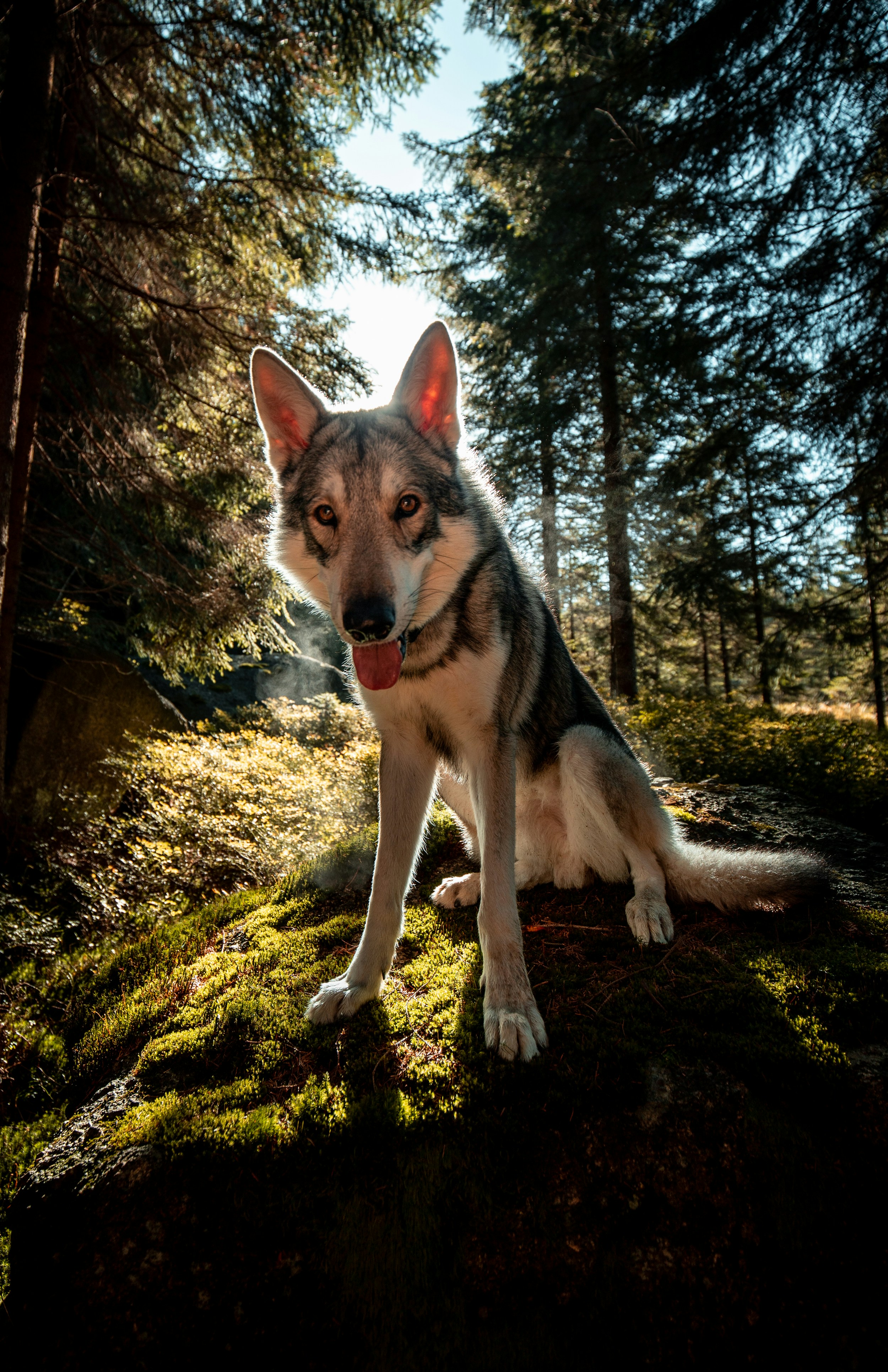 Photo by honzareznik