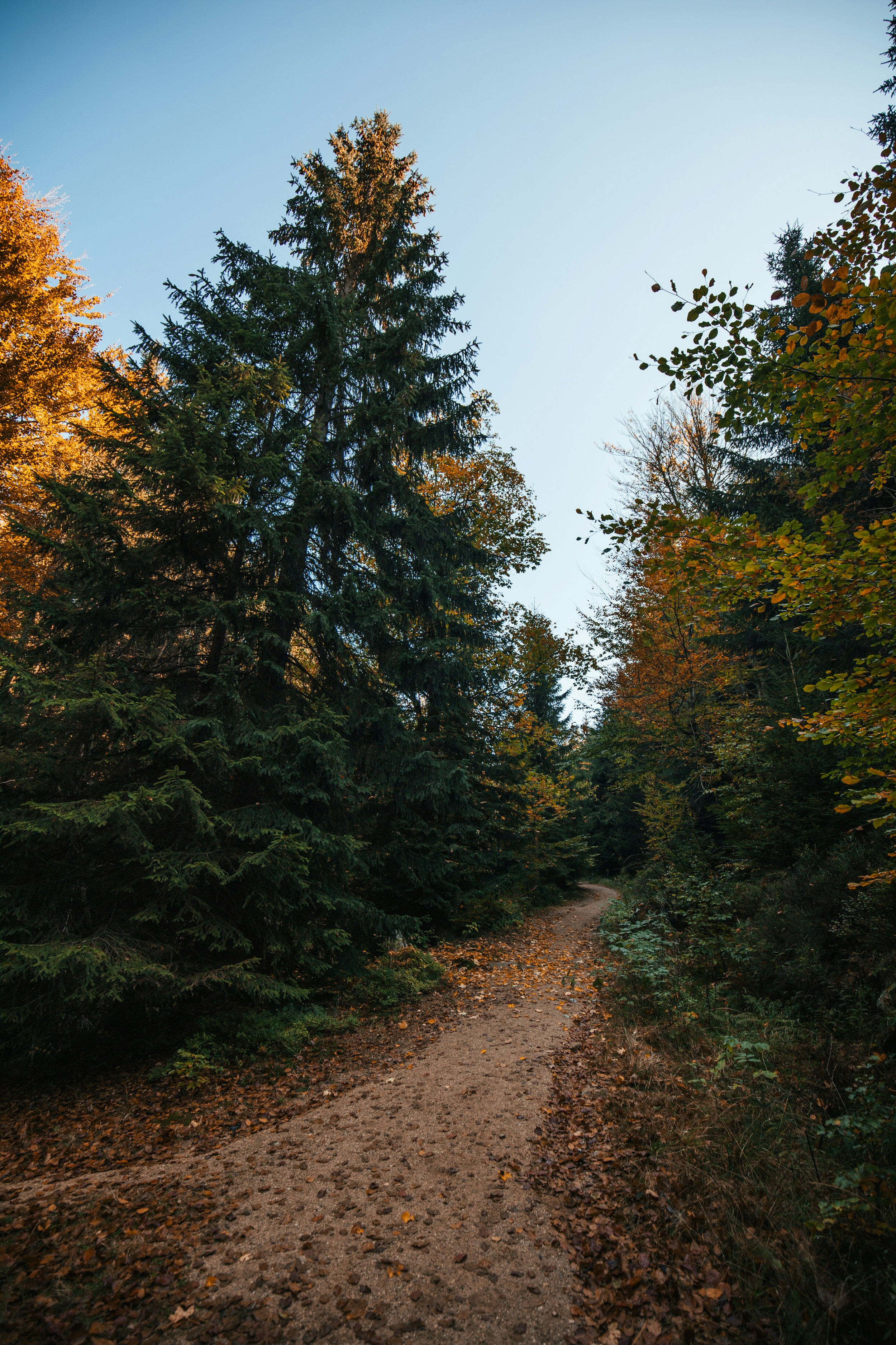 Photo by honzareznik