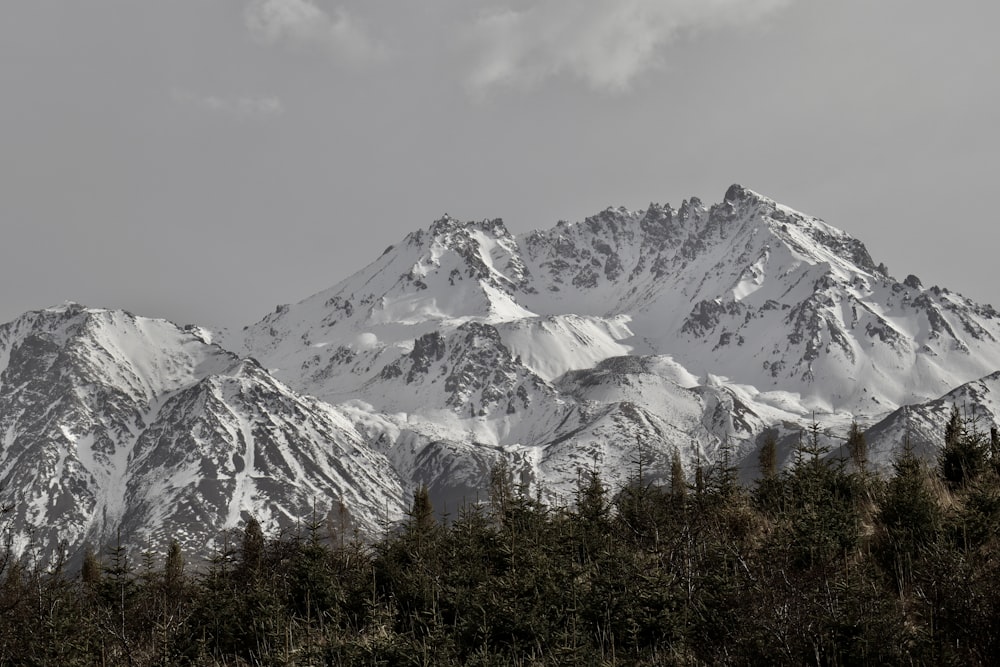 a snowy mountain range