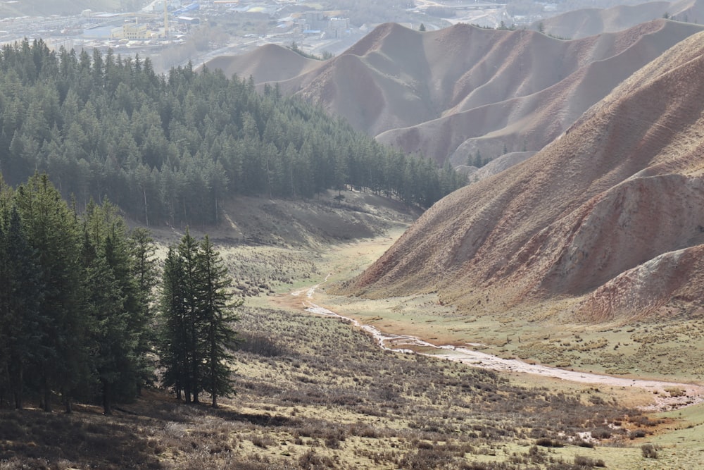 Un paisaje con árboles y montañas