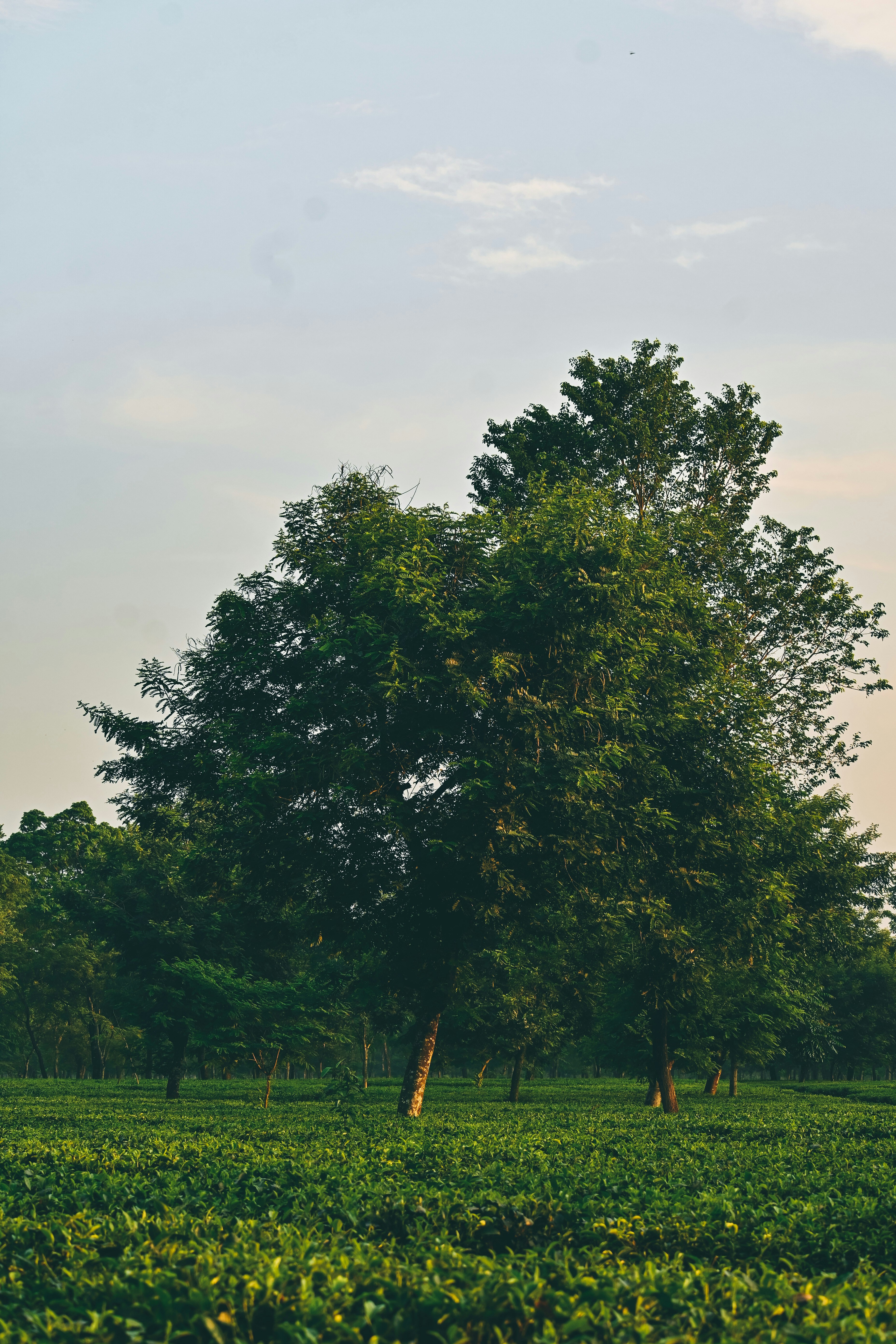 Photo by thehouseofavis