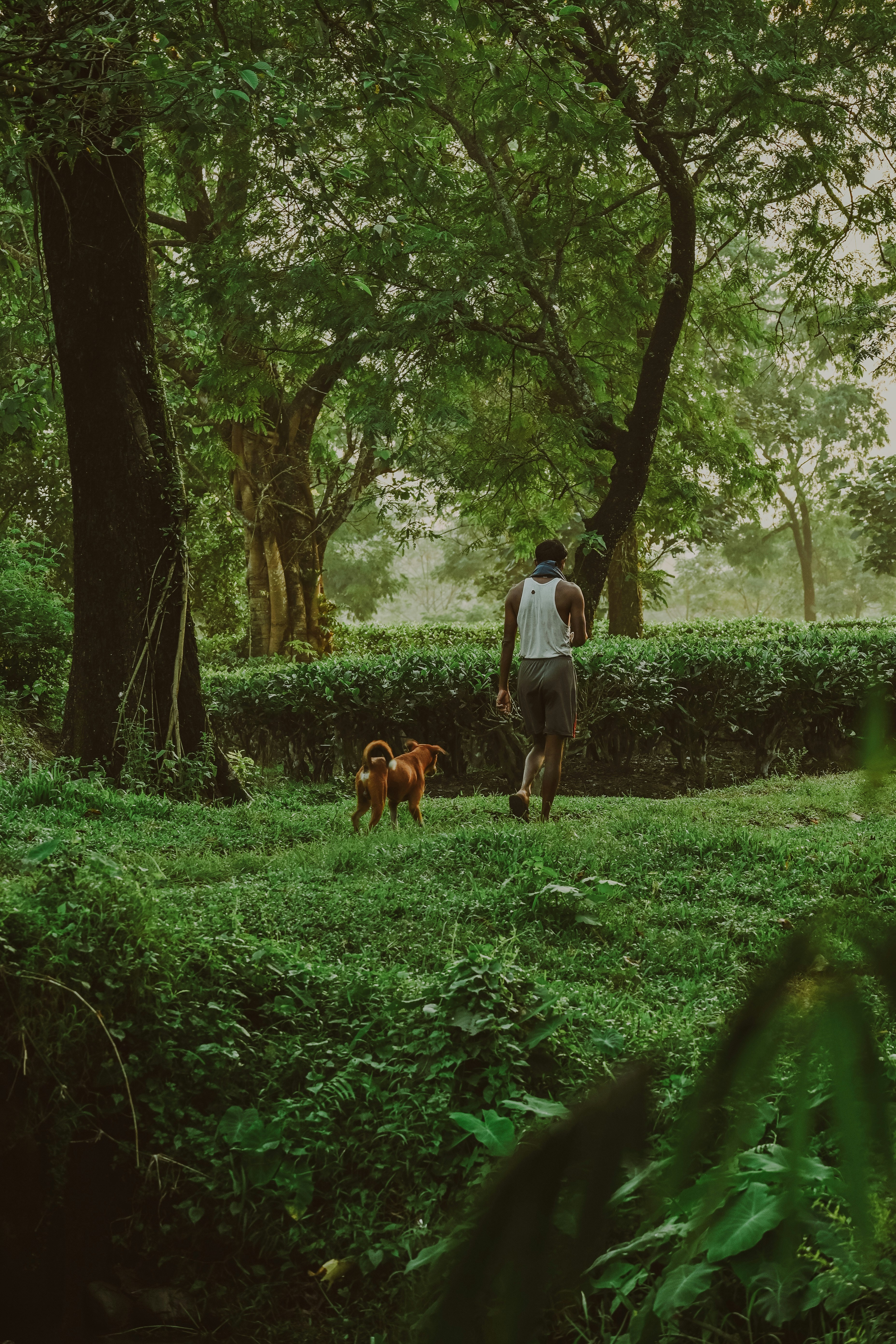 Photo by thehouseofavis
