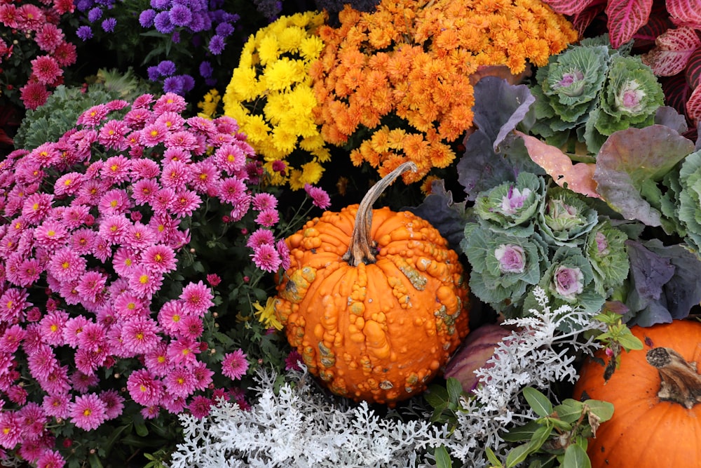 a group of colorful flowers