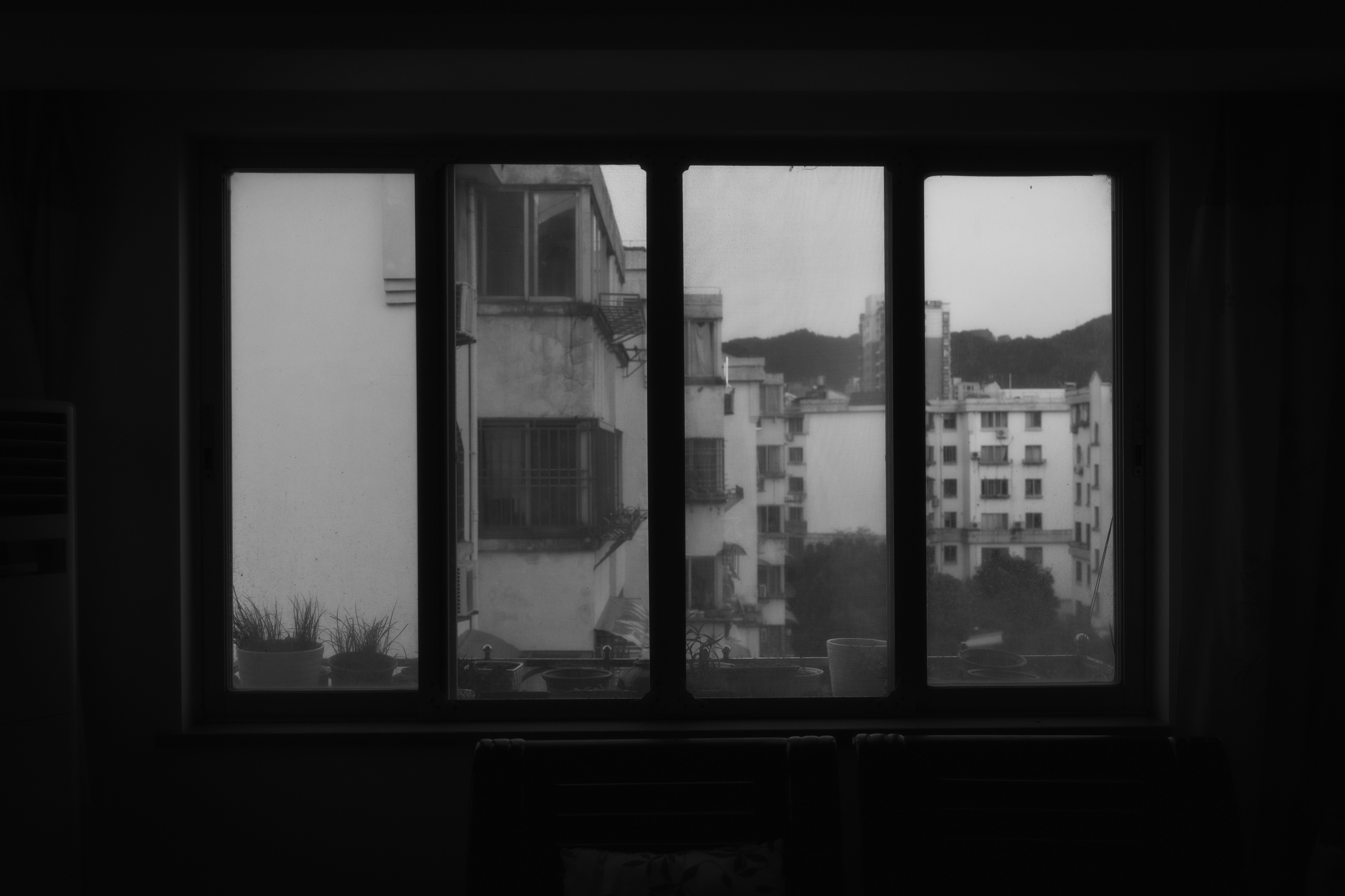 Photo by guheihei2333